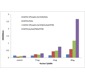 Validation Data - GATA1 (phospho Ser310) ELISA Kit (TFE-7074) - Antibodies.com