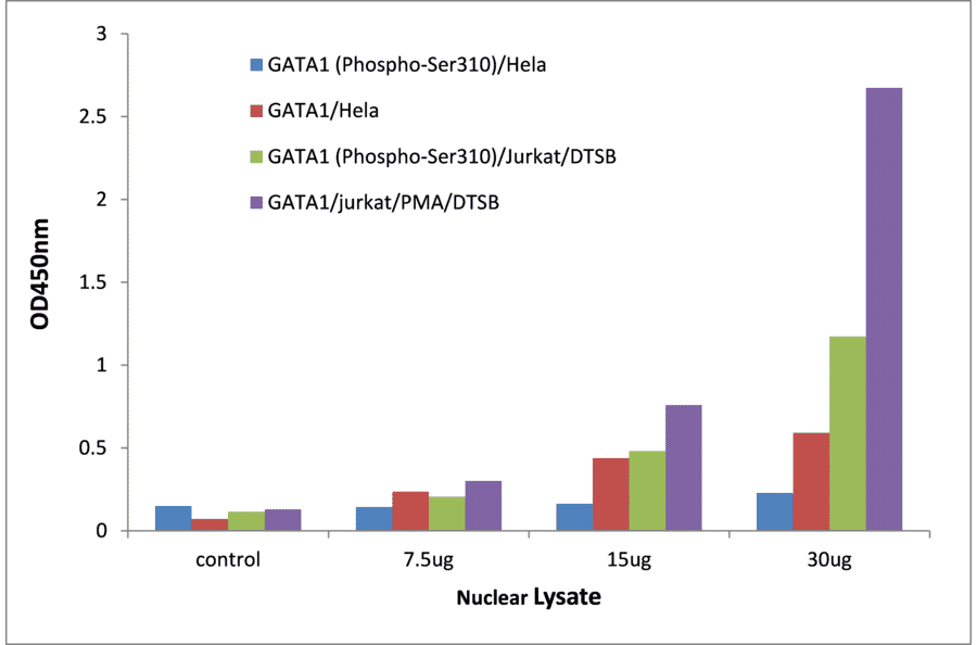 Validation Data - GATA1 (phospho Ser310) ELISA Kit (TFE-7074) - Antibodies.com
