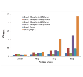 Validation Data - Smad1 (phospho Ser187) ELISA Kit (TFE-7137) - Antibodies.com