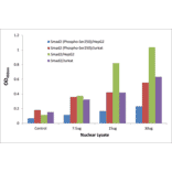 Validation Data - Smad2 (phospho Ser250) ELISA Kit (TFE-7139) - Antibodies.com