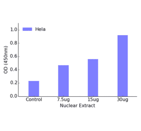 Validation Data - MEF2A (phospho Ser408) ELISA Kit (TFE-7144) - Antibodies.com