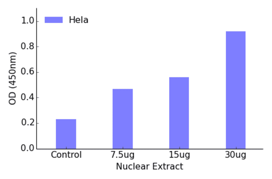 Validation Data - MEF2A (phospho Ser408) ELISA Kit (TFE-7144) - Antibodies.com