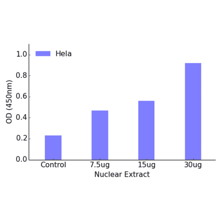 Validation Data - MEF2A (phospho Ser408) ELISA Kit (TFE-7144) - Antibodies.com