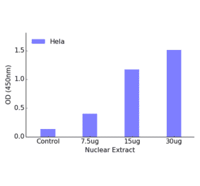 Validation Data - MEF2A (phospho Thr312) ELISA Kit (TFE-7145) - Antibodies.com