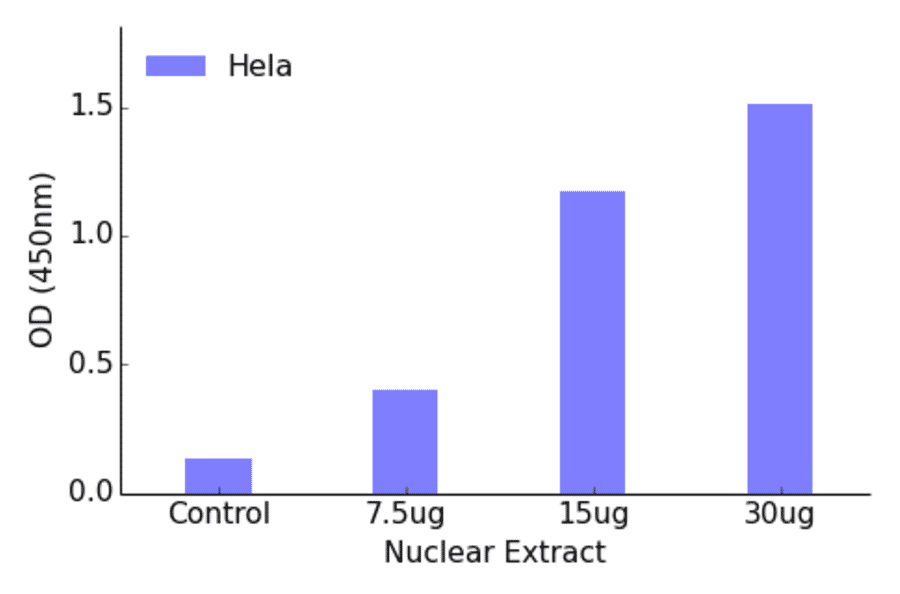 Validation Data - MEF2A (phospho Thr312) ELISA Kit (TFE-7145) - Antibodies.com