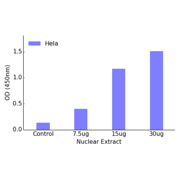 Validation Data - MEF2A (phospho Thr312) ELISA Kit (TFE-7145) - Antibodies.com