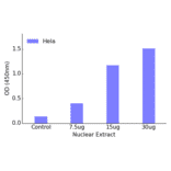 Validation Data - MEF2A (phospho Thr312) ELISA Kit (TFE-7145) - Antibodies.com