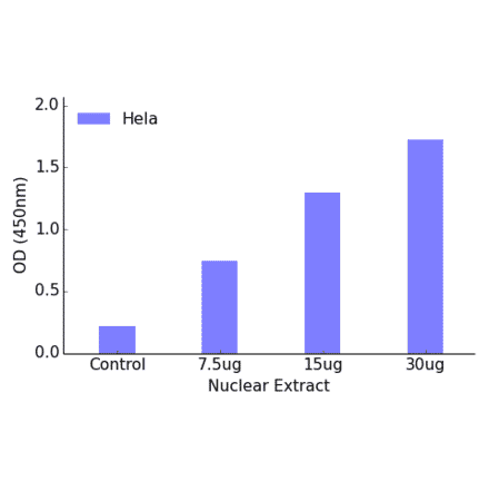 Validation Data - MEF2C (phospho Ser396) ELISA Kit (TFE-7147) - Antibodies.com