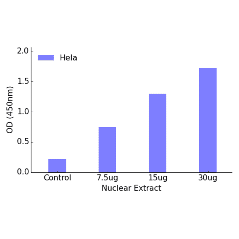 Validation Data - MEF2C (phospho Ser396) ELISA Kit (TFE-7147) - Antibodies.com