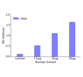 Validation Data - MEF2C (phospho Ser396) ELISA Kit (TFE-7148) - Antibodies.com