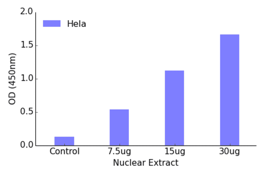 Validation Data - MEF2C (phospho Ser396) ELISA Kit (TFE-7148) - Antibodies.com