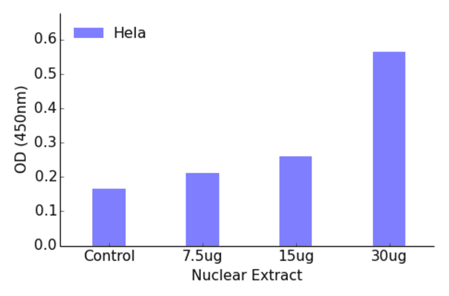 Validation Data - MEF2D (phospho Ser444) ELISA Kit (TFE-7149) - Antibodies.com