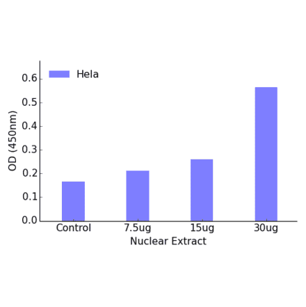 Validation Data - MEF2D (phospho Ser444) ELISA Kit (TFE-7149) - Antibodies.com