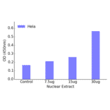Validation Data - MEF2D (phospho Ser444) ELISA Kit (TFE-7149) - Antibodies.com