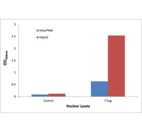 Validation Data - STAT1 (phospho Ser727) ELISA Kit (TFE-7151) - Antibodies.com