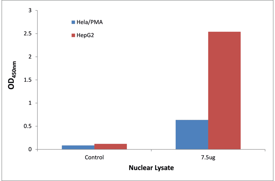 Validation Data - STAT1 (phospho Ser727) ELISA Kit (TFE-7151) - Antibodies.com