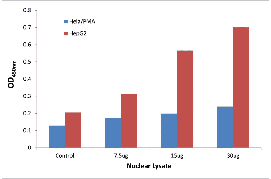 Validation Data - STAT1 (phospho Tyr701) ELISA Kit (TFE-7176) - Antibodies.com