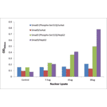 Validation Data - Smad3 (phospho Ser213) ELISA Kit (TFE-7182) - Antibodies.com