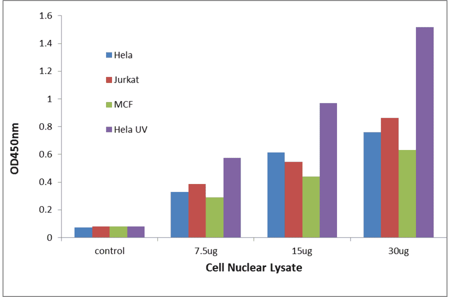 Validation Data - Estrogen Receptor beta ELISA Kit (TFE-7043) - Antibodies.com