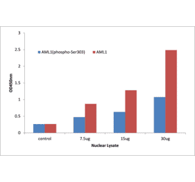 Validation Data - AML1 (phospho Ser303) ELISA Kit (TFE-7001) - Antibodies.com
