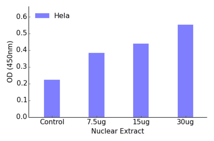 Validation Data - AML1 (phospho Ser435) ELISA Kit (TFE-7002) - Antibodies.com