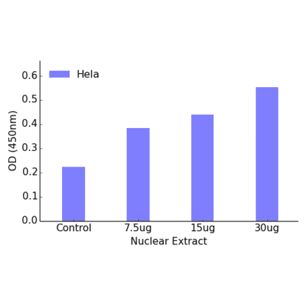 Validation Data - AML1 (phospho Ser435) ELISA Kit (TFE-7002) - Antibodies.com