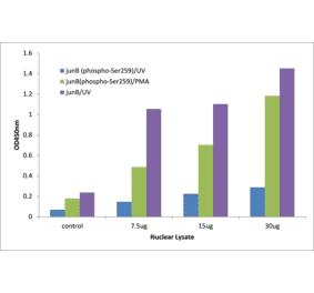 Validation Data - JunB (phospho Ser259) ELISA Kit (TFE-7015) - Antibodies.com