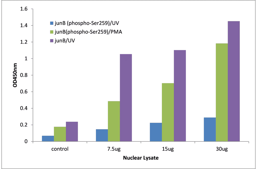 Validation Data - JunB (phospho Ser259) ELISA Kit (TFE-7015) - Antibodies.com