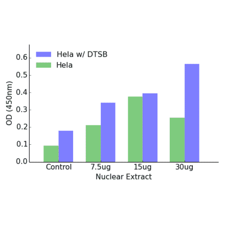 Validation Data - ATF2 (phospho Ser480) ELISA Kit (TFE-7025) - Antibodies.com