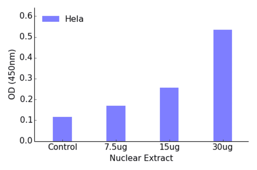 Validation Data - CREB (phospho Ser121) ELISA Kit (TFE-7032) - Antibodies.com