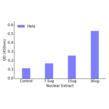 Validation Data - CREB (phospho Ser121) ELISA Kit (TFE-7032) - Antibodies.com