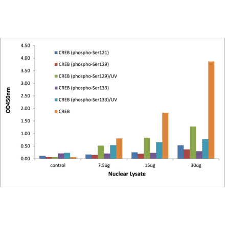 Validation Data - CREB (phospho Ser129) ELISA Kit (TFE-7033) - Antibodies.com