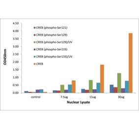 Validation Data - CREB (phospho Ser133) ELISA Kit (TFE-7034) - Antibodies.com