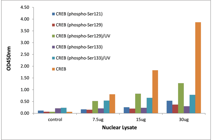 Validation Data - CREB (phospho Ser133) ELISA Kit (TFE-7034) - Antibodies.com