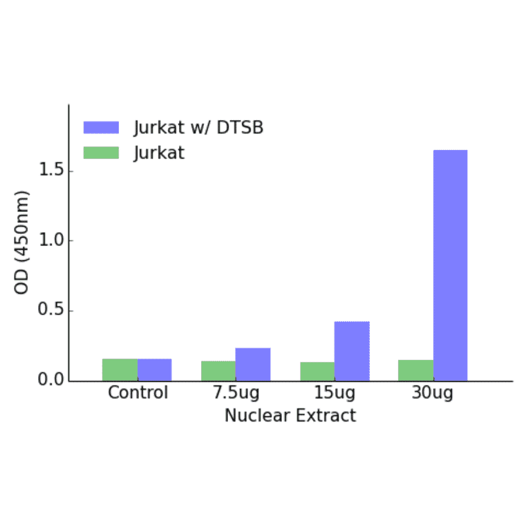 Validation Data - Elk1 (phospho Ser383) ELISA Kit (TFE-7046) - Antibodies.com
