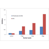 Validation Data - HSF1 (phospho Ser303) ELISA Kit (TFE-7093) - Antibodies.com