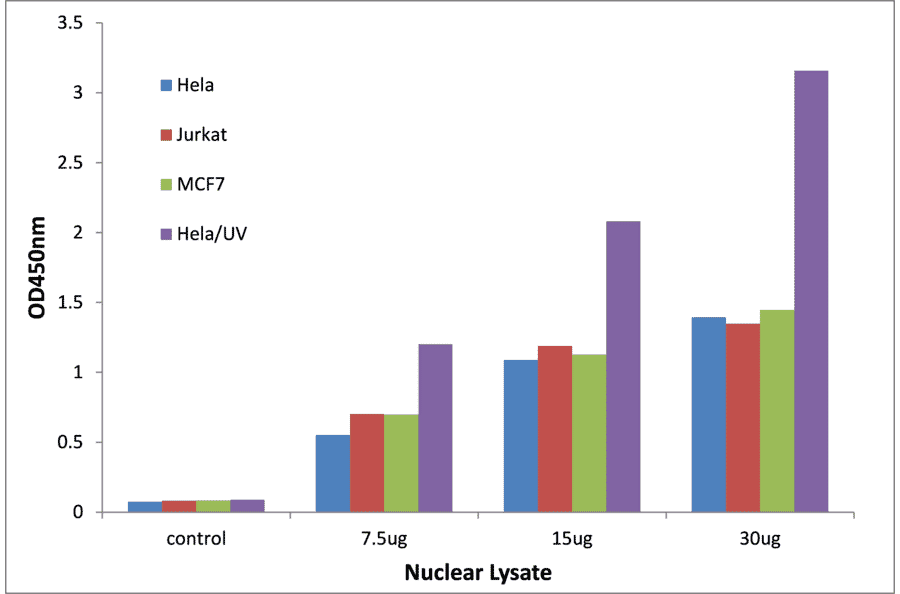 Validation Data - Progesterone Receptor ELISA Kit (TFE-7132) - Antibodies.com