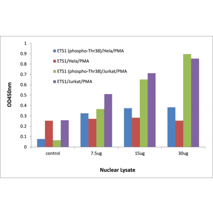 Validation Data - ETS1 (phospho Thr38) ELISA Kit (TFE-7053) - Antibodies.com