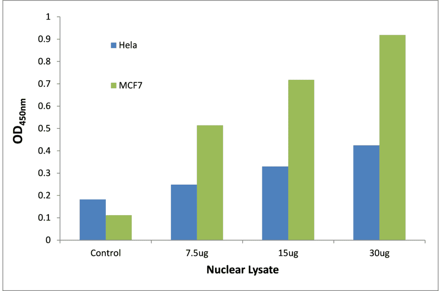 Validation Data - p53 (phospho Ser392) ELISA Kit (TFE-7121) - Antibodies.com