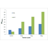 Validation Data - p53 (phospho Ser392) ELISA Kit (TFE-7121) - Antibodies.com