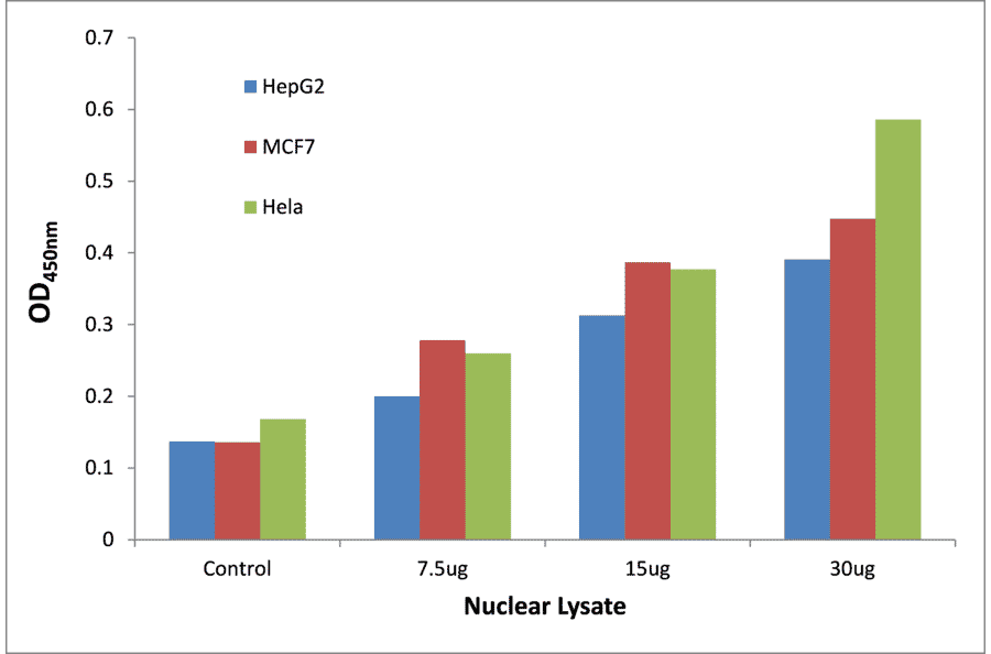 Validation Data - p53 (phospho Ser315) ELISA Kit (TFE-7122) - Antibodies.com