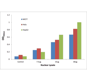 Validation Data - p53 (phospho Ser376) ELISA Kit (TFE-7123) - Antibodies.com