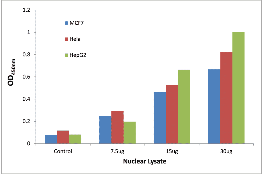 Validation Data - p53 (phospho Ser376) ELISA Kit (TFE-7123) - Antibodies.com