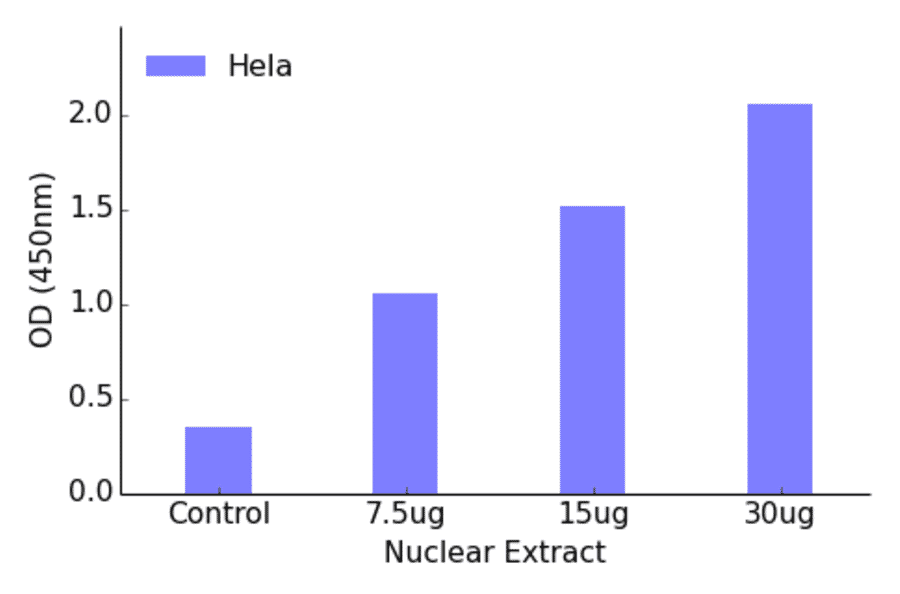 Validation Data - NF-kappaB p100 / p52 ELISA Kit (TFE-7109) - Antibodies.com