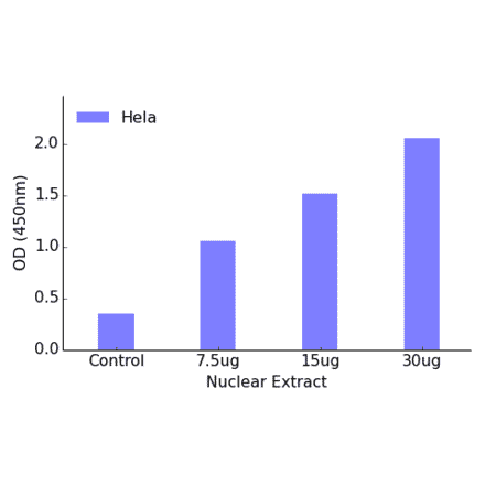 Validation Data - NF-kappaB p100 / p52 ELISA Kit (TFE-7109) - Antibodies.com