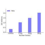 Validation Data - NF-kappaB p100 / p52 ELISA Kit (TFE-7109) - Antibodies.com