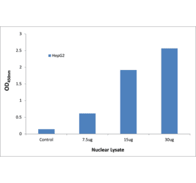 Validation Data - NF-kappaB p105 / p50 ELISA Kit (TFE-7112) - Antibodies.com