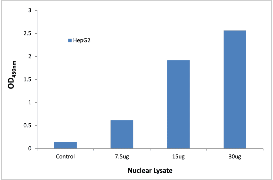 Validation Data - NF-kappaB p105 / p50 ELISA Kit (TFE-7112) - Antibodies.com