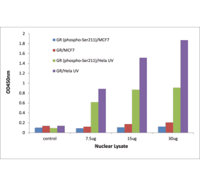 Validation Data - GR (phospho Ser211) ELISA Kit (TFE-7081) - Antibodies.com