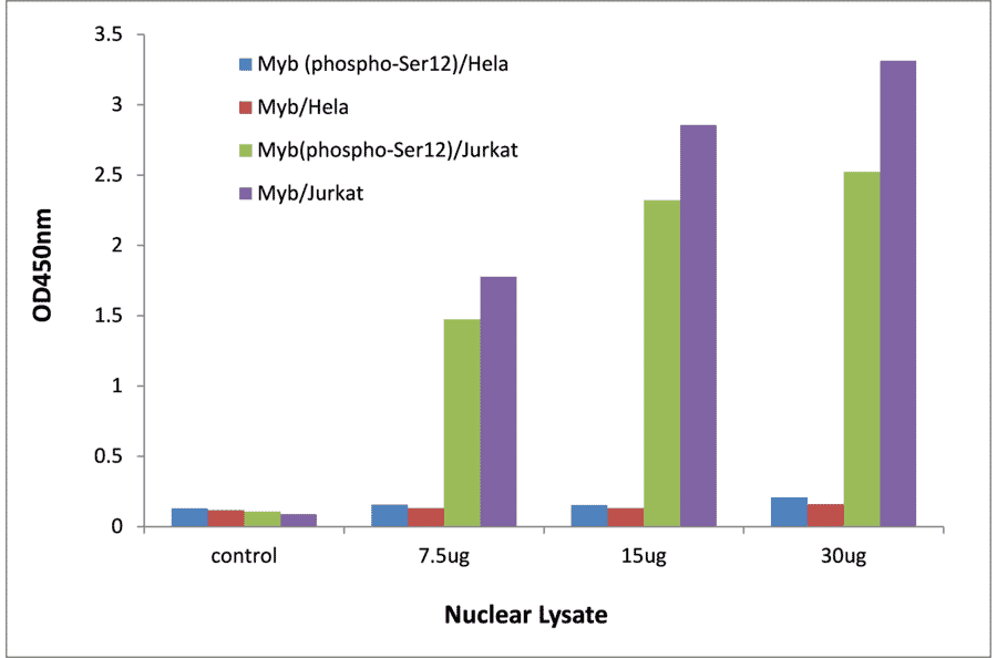 Validation Data - MYB (phospho Ser12) ELISA Kit (TFE-7100) - Antibodies.com